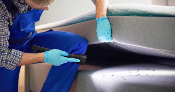 Flea Control Services in Eagle, WI