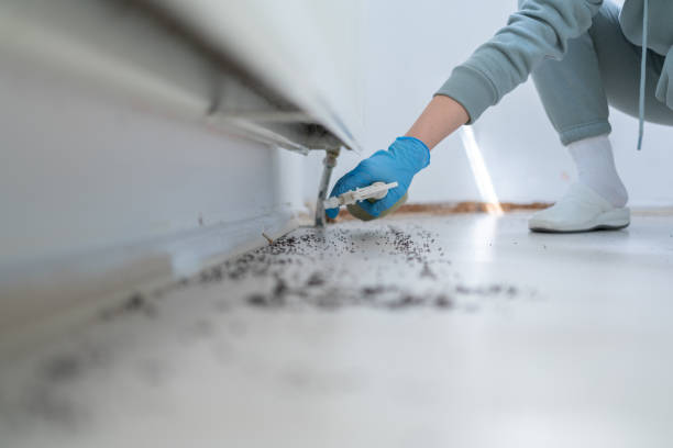 Best Pest Removal Services  in Eagle, WI