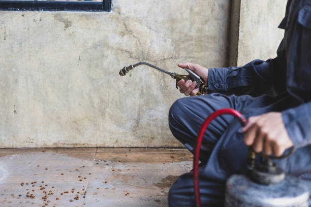 Best Wasp Removal Services  in Eagle, WI
